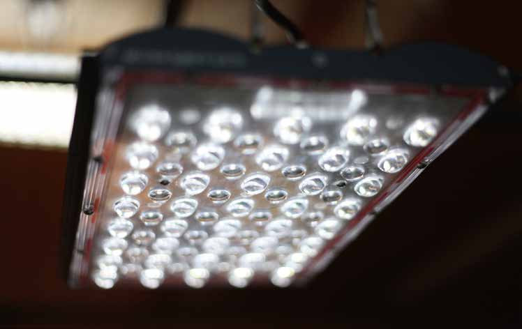 パネル単品のみ】Helios Green LED PRO Booster-101 | 塊祭
