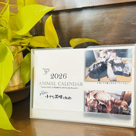 2026年 ANIMAL CALENDARを購入して保護動物を応援！！