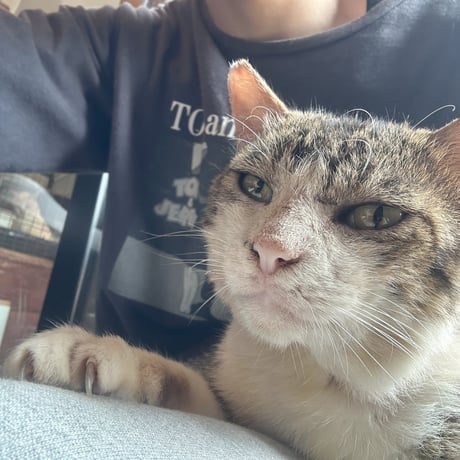 人懐っこい『ペタ』おじさん