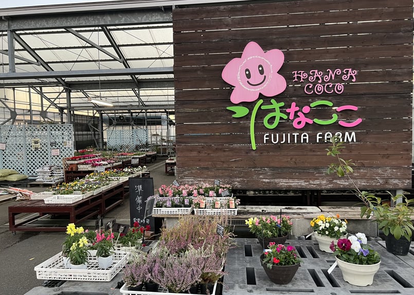 はなここ 季節の花苗プレミアムセット（ はなここ 本店） | 牧之原市商工会商業