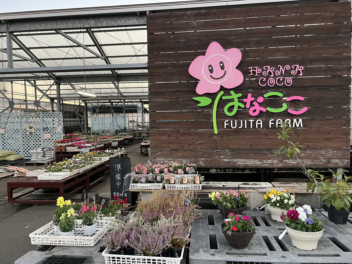 はなここ 季節の花苗プレミアムセット（ はなここ 本店） | 牧之原市商工会商業