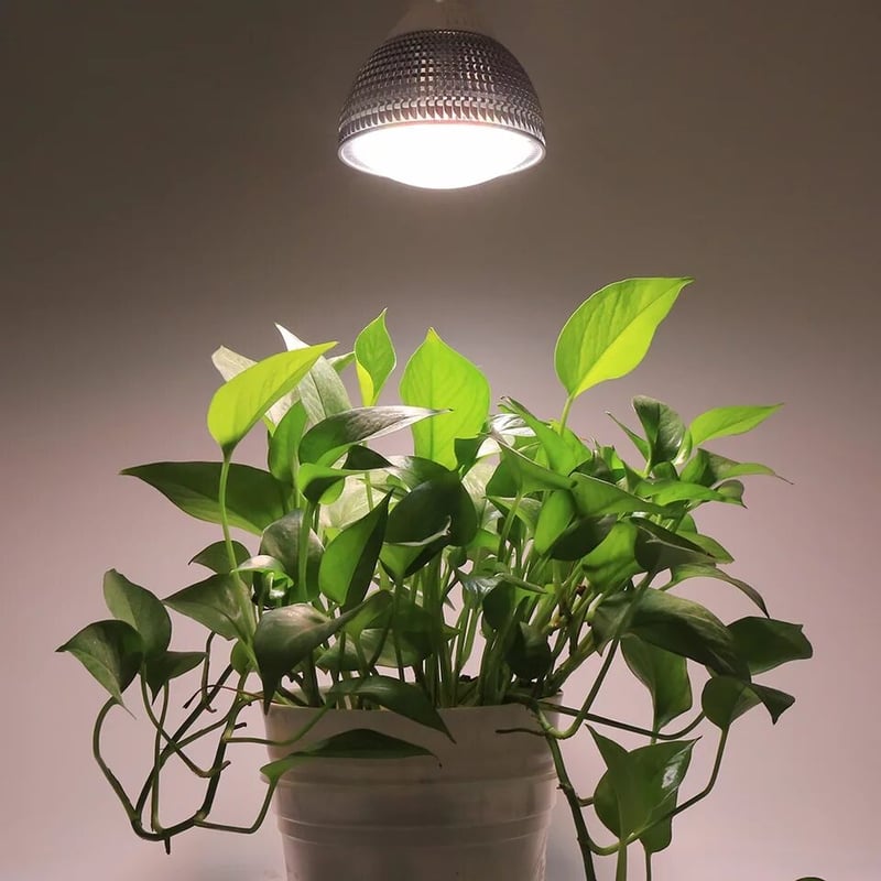 フルスペクトル植物育成LEDライト150w相当 | GREENRoad STORE フルスペクトル植物育成LEDライト150w相当 | GREENRoad STORE