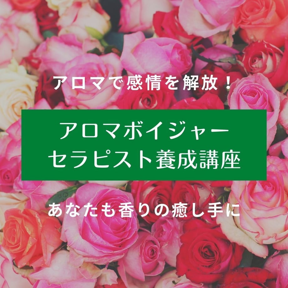 62d90cf94ba8b44cccb0d890