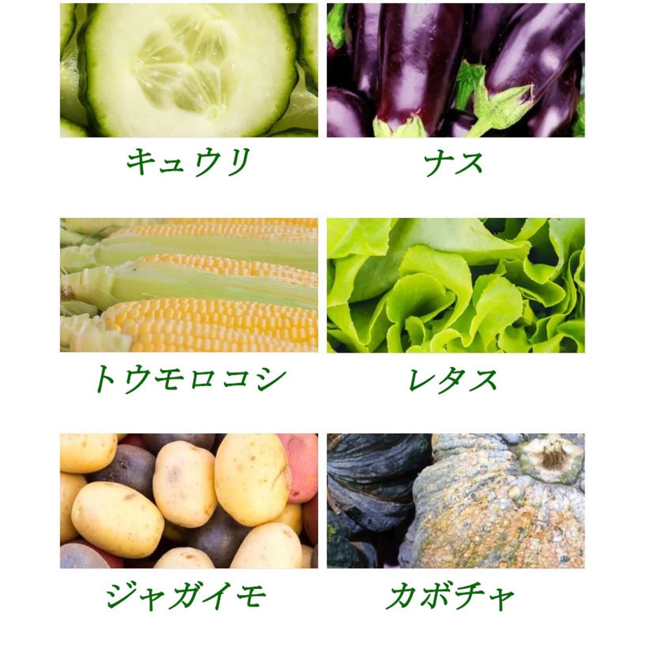6577c2c65c88a2004b9461b8