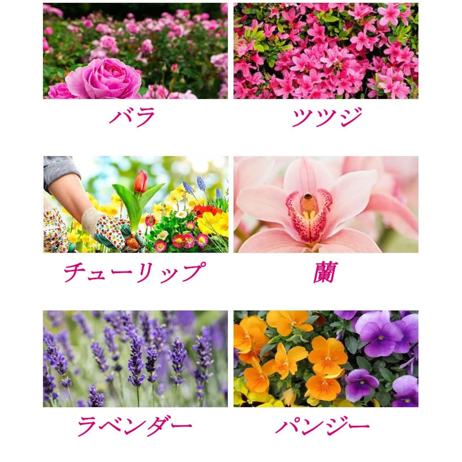 6577c13f904c0800478125f7