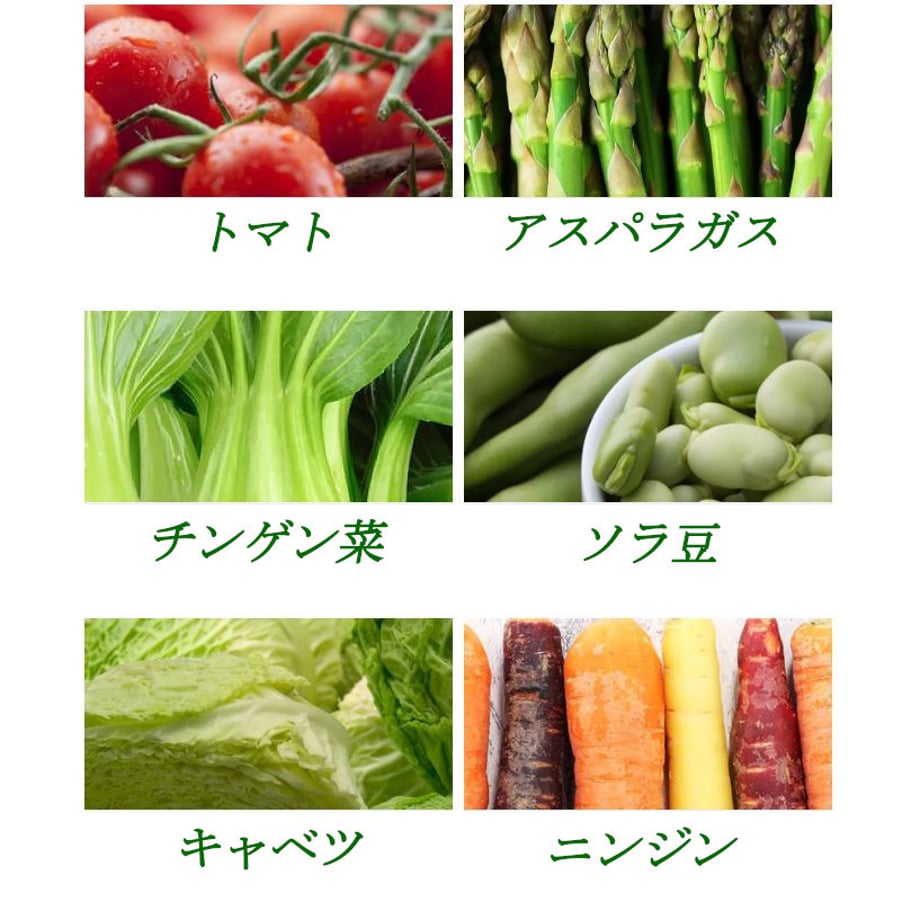 6577c13f904c0800478125f7
