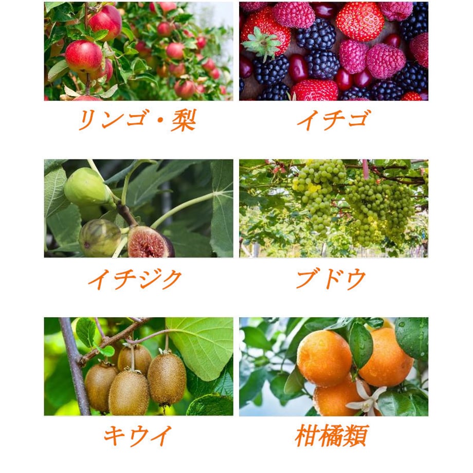 6577c13f904c0800478125f7