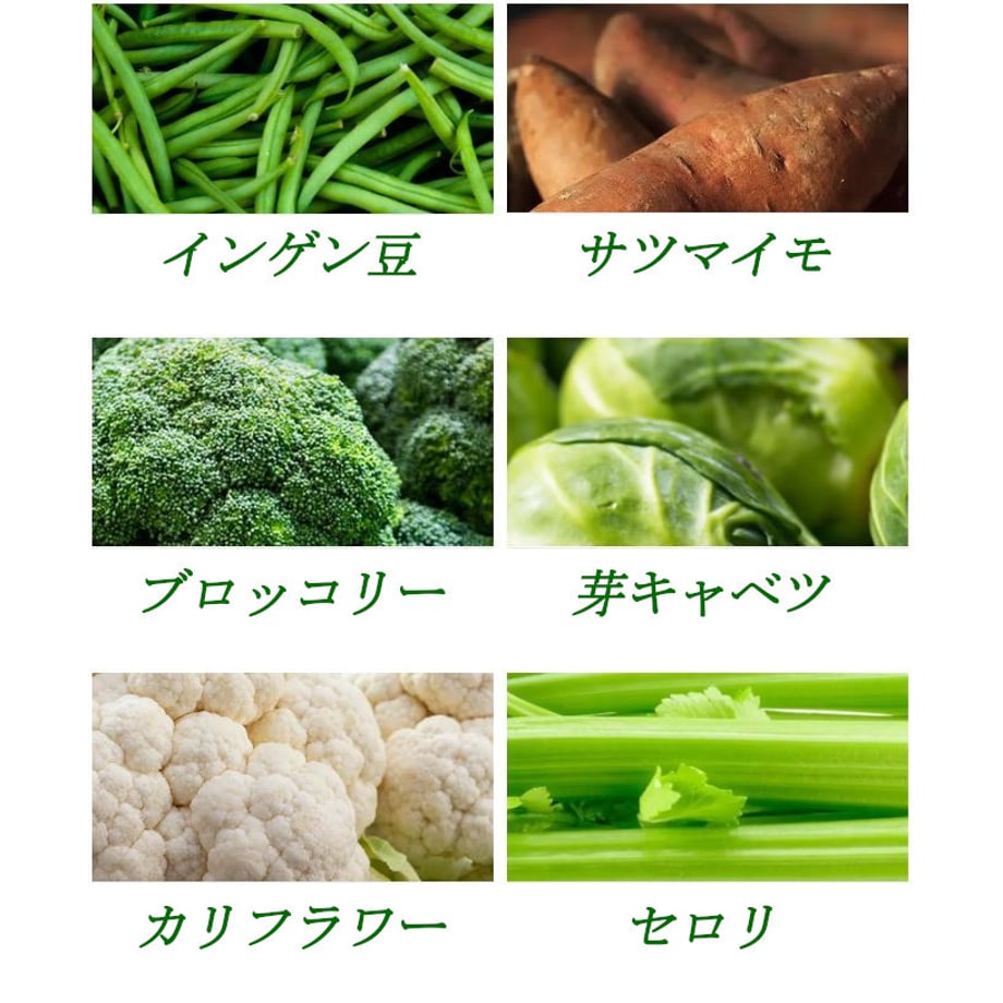 6577c2c65c88a2004b9461b8