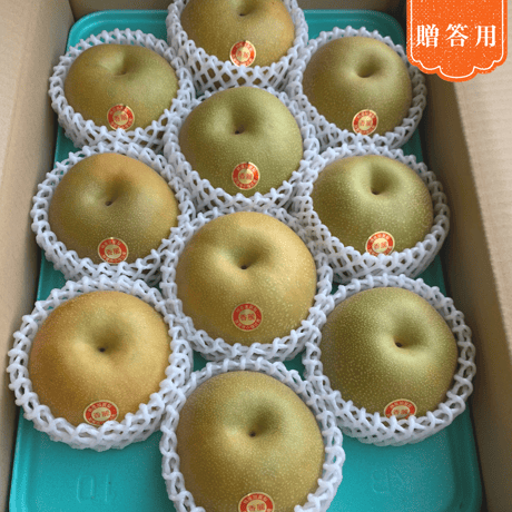 【贈答用】香麗5㎏箱