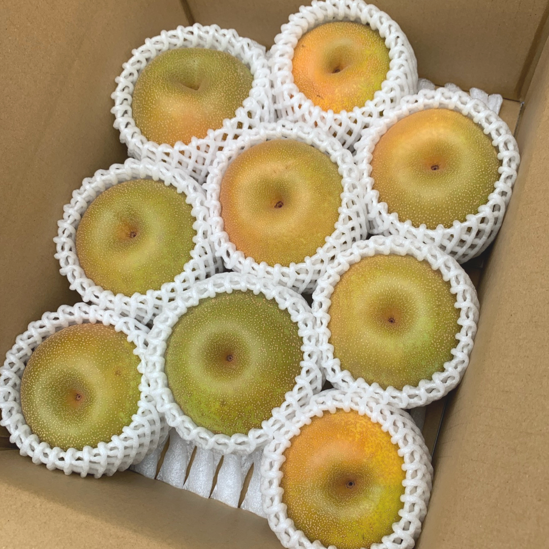 家庭用】幸水3㎏箱 | 【梨 通販】鹿野果樹園 オンラインストア