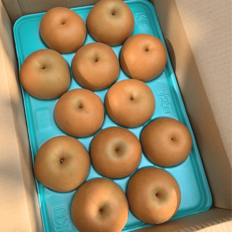 家庭用】南水5㎏箱 | 【梨 通販】鹿野果樹園 オンラインストア