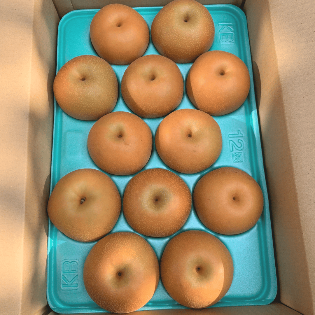 家庭用】南水5㎏箱 | 【梨 通販】鹿野果樹園 オンラインストア