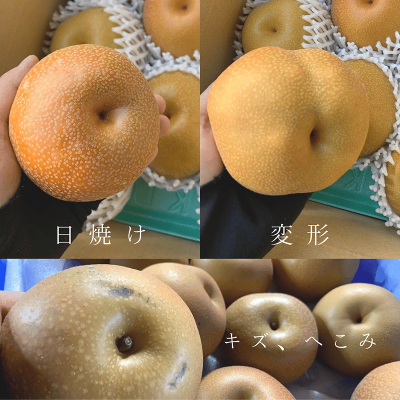 家庭用】大天梨 3㎏箱 | 【梨 通販】鹿野果樹園 オンラインストア