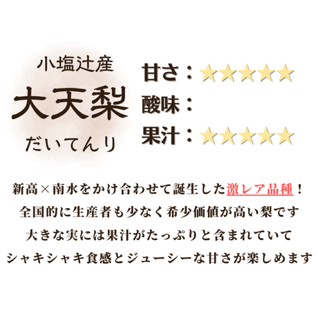 【贈答用】大天梨5㎏箱
