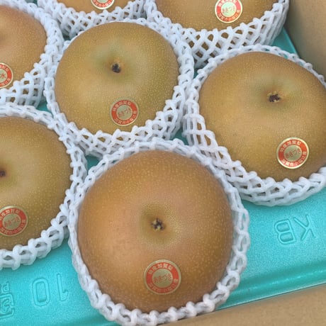 【贈答用】あきづき5㎏箱