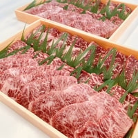 【有田牧畜産業】宮崎県産黒毛和牛「有田牛」 特選焼肉セット（赤身ヒレ・モモ・バラ）