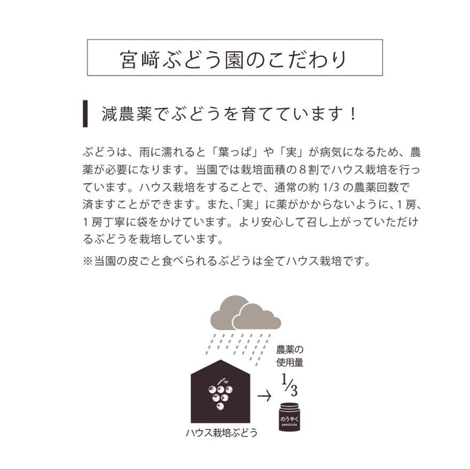 63200f0623747f45671fbfb1