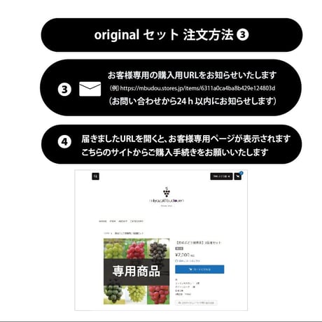 【ご注文お問い合わせ専用】 ご希望の品種・ご予算で作るオリジナルぶどうセット