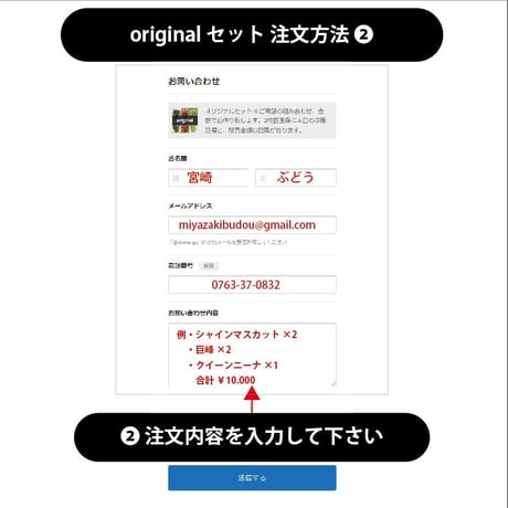 【ご注文お問い合わせ専用】 ご希望の品種・ご予算で作るオリジナルぶどうセット