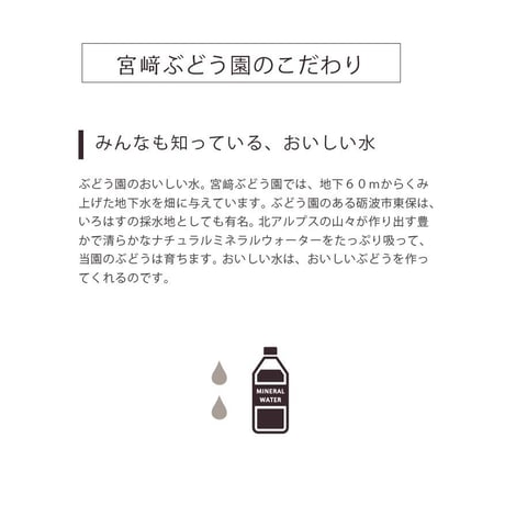 【ご注文お問い合わせ専用】 ご希望の品種・ご予算で作るオリジナルぶどうセット