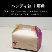 ハンディ箱 1房用 \100（単体購入不可 ）（カート内のオプションでも選択可）