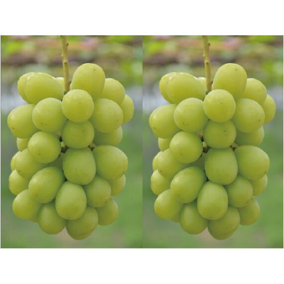 632022e023747f5512255d1f