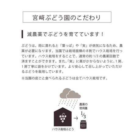 【ご注文お問い合わせ専用】 ご希望の品種・ご予算で作るオリジナルぶどうセット