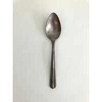竹俣勇壱/ryoフィッシュスプーン | HAKUTO