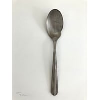 竹俣勇壱/ryoフィッシュスプーン