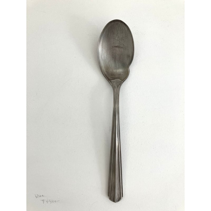 竹俣勇壱/ryoフィッシュスプーン | HAKUTO