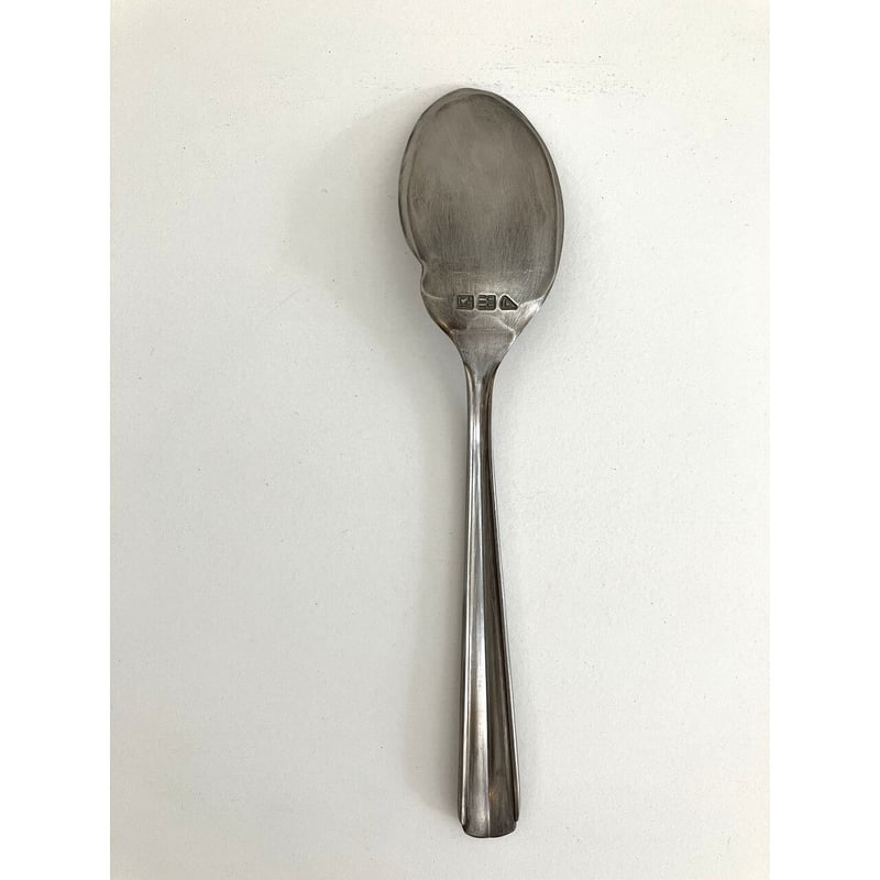 竹俣勇壱/ryoフィッシュスプーン | HAKUTO