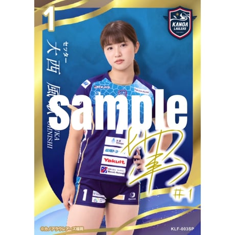 カノアラウレアーズ 2024-25 SEASON トレーディングカード