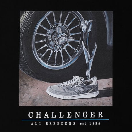 チャレンジャー CHALLENGER THE LAND TEE（WHITE）