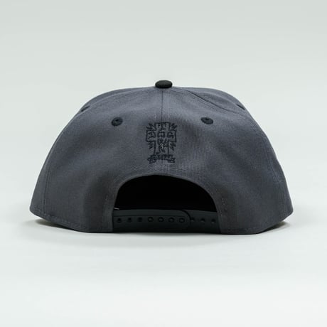NEWERA・ニューエラ　  9FIFTY DOG TOWN ドッグタウン ロゴ グラファイト ブラックバイザー