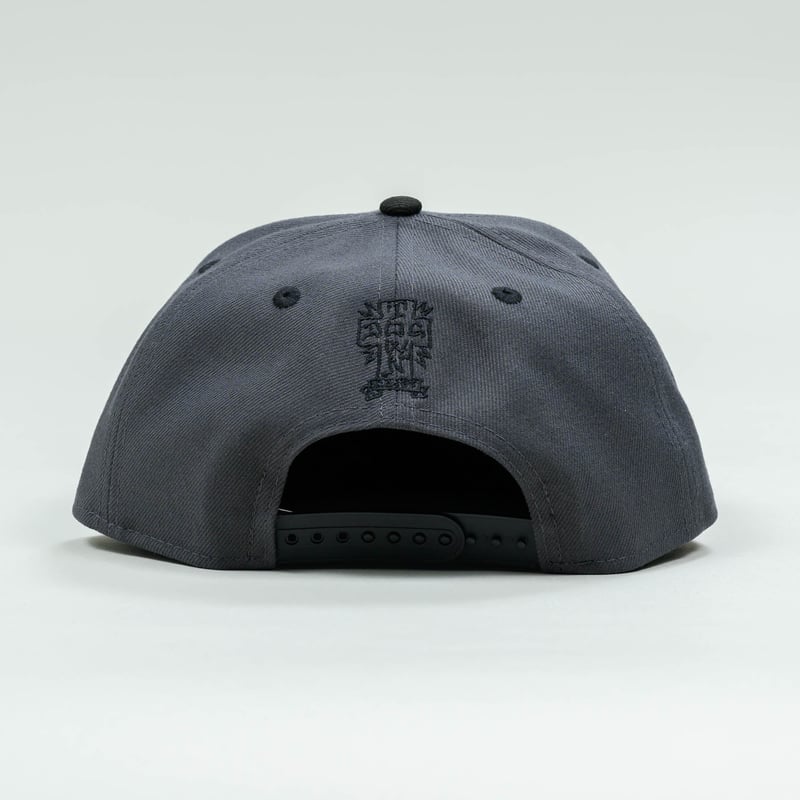 NEWERA・ニューエラ 9FIFTY DOG TOWN ドッグタウン ロゴ グラファイト