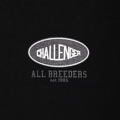 チャレンジャー CHALLENGER THE LAND TEE（WHITE）