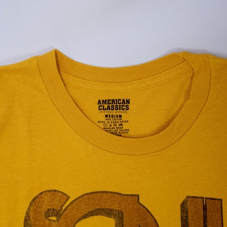 AMERICAN CLASSICS・アメリカンクラシックス　「SOUL TRAIN」Tシャツ（GINGER・Mサイズ）
