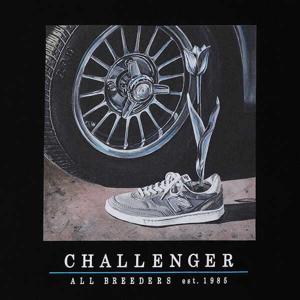 チャレンジャー CHALLENGER THE LAND TEE（BLACK） | daze &