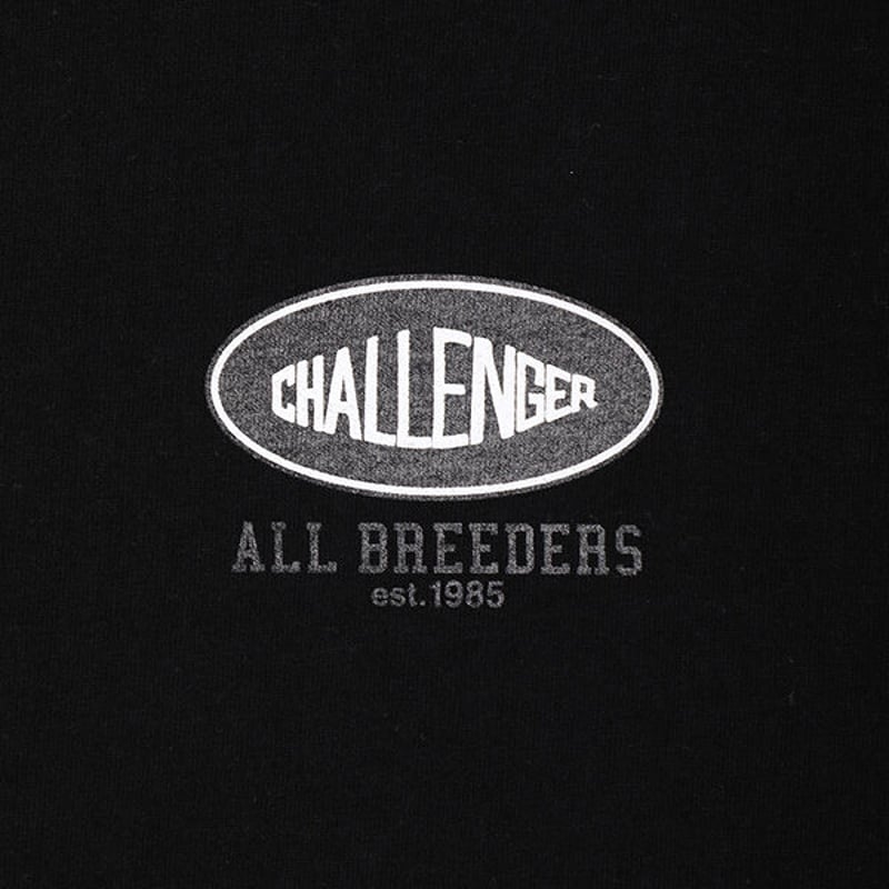チャレンジャー CHALLENGER THE LAND TEE（BLACK） | daze &
