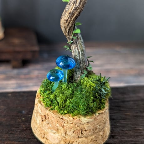 ガラスキノコの標本　大　03
