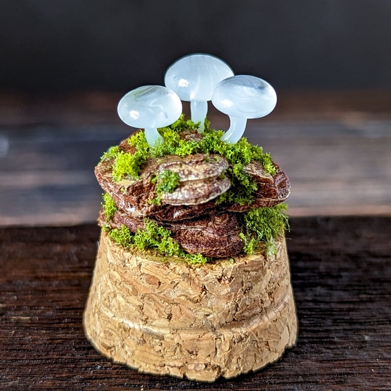 ガラスキノコの標本 小 06 | Mu2Que