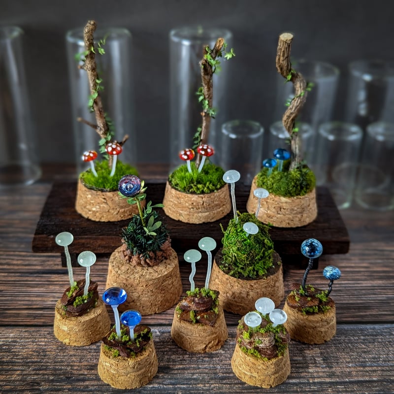 ガラスキノコの標本 小 06 | Mu2Que