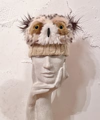 Vintage 3D Owl Design Beanie