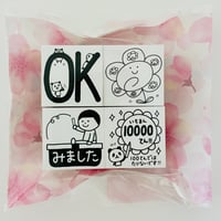 【再販】新年度応援セット2026【学習指導・プチ】