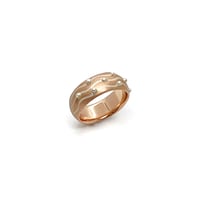 Ring：Metamorphoses