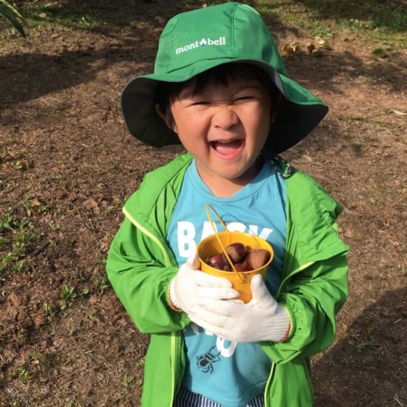 熟成栗】特大粒サイズ：4L以上 甘さ際立つ能登栗 1キロ～（予約：11月