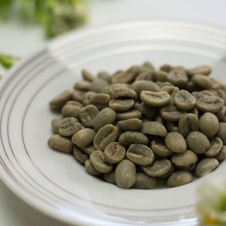 生coffee 60g(70杯分)　『定期便』