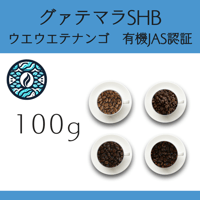 ８グァテマラSHB ウエウエテナンゴ 有機栽培 Qグレード 100g