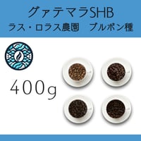 ８グァテマラSHB ラス・ロラス農園 ブルボン種　400g