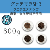 ８グァテマラSHB ウエウエテナンゴ 有機栽培 Qグレード 800g